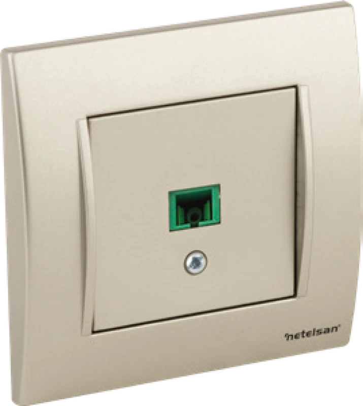 Fiber Optik Data Prizi