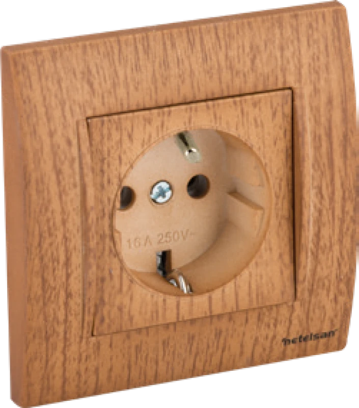 UPS Priz (Fransız Standardı)